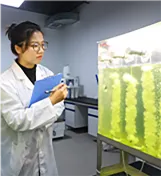 顺控发展