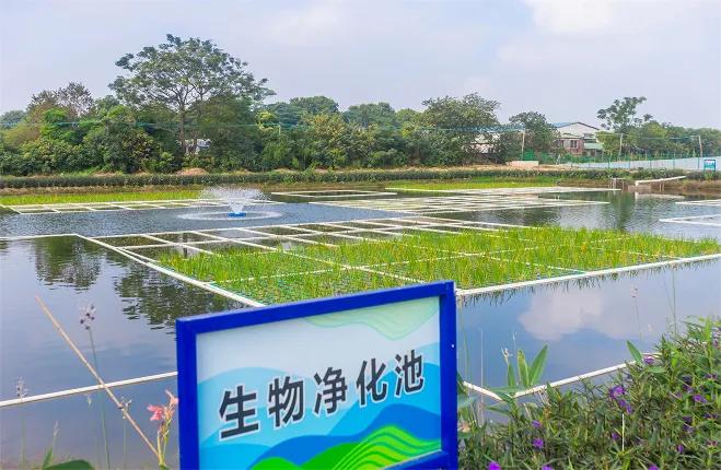 顺控发展